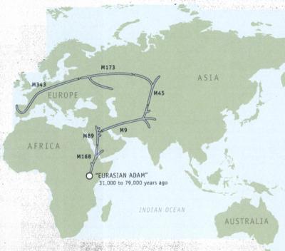Genographic Migration Map R1b