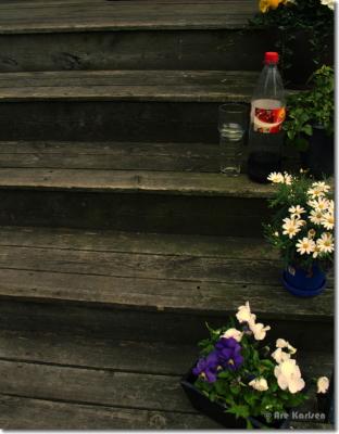 CRW_9006.jpg