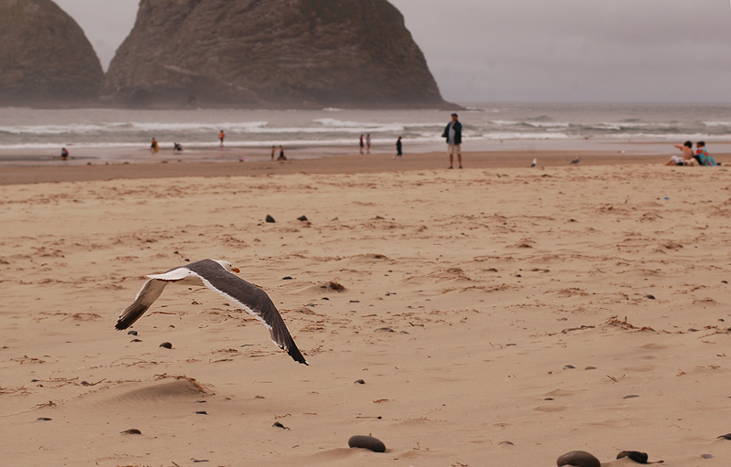 Oceanside, Oregon 9