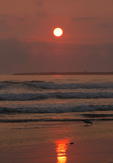 South Beach Sunset - 9