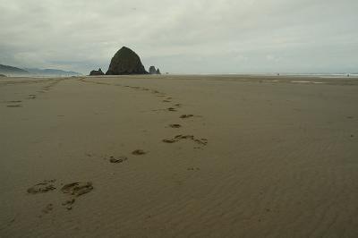 Footsteps to Cannon Beach