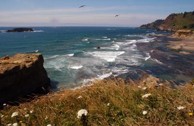 Otter Point, Oregon