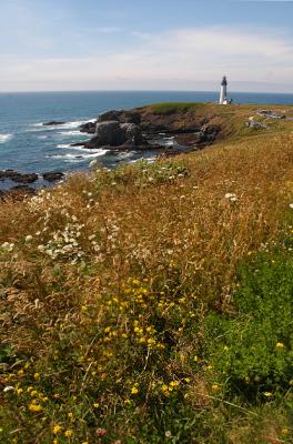 Yaquina Bay Lighthouse 7