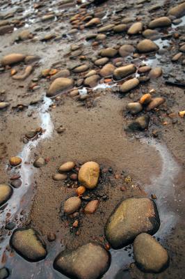 low tide queen charlotte islands bc.jpg