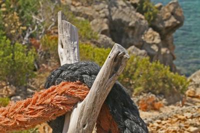 IBIZA . DU GROS BOUT