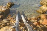 IBIZA . LE SLIP TYPIQUE IBICENCO