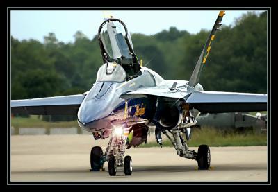 Blue Angels F-18 Hornet