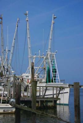 Fishing Boats