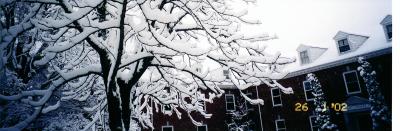 beautiful day 001.jpg