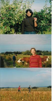 apple picking2.jpg