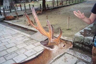 038_35A.JPG
