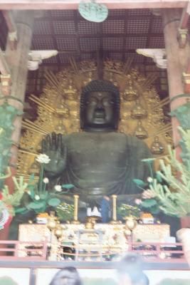 016_13A.JPG