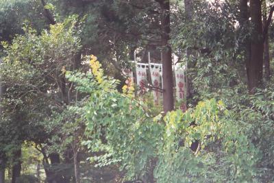 004_1A.JPG