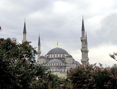 La Mosque Bleue