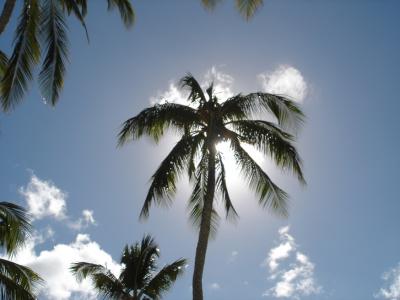 Oahu & Kauai, Hawaii