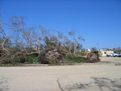 IMG_0643.JPG