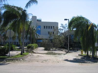 IMG_0650.JPG