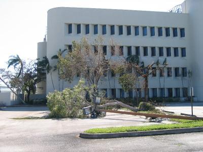 IMG_0651.JPG