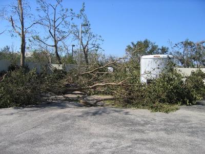 IMG_0657.JPG