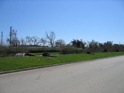 IMG_0659.JPG