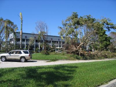 IMG_0668.JPG