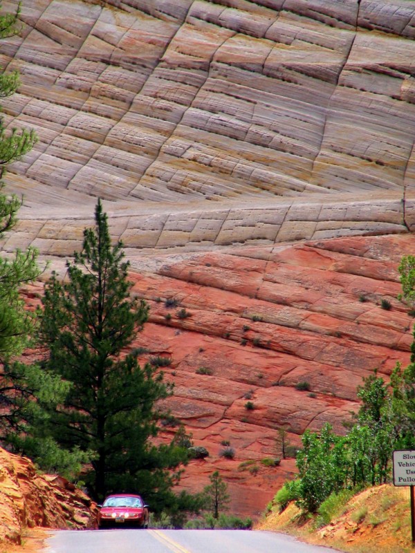 zion park