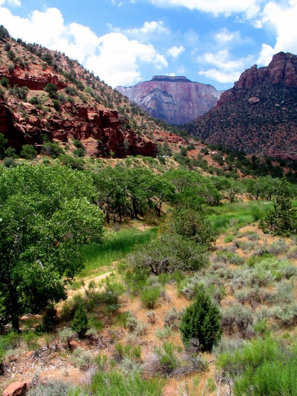 zion park