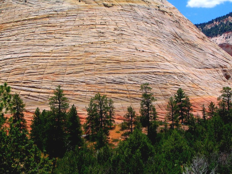 zion park