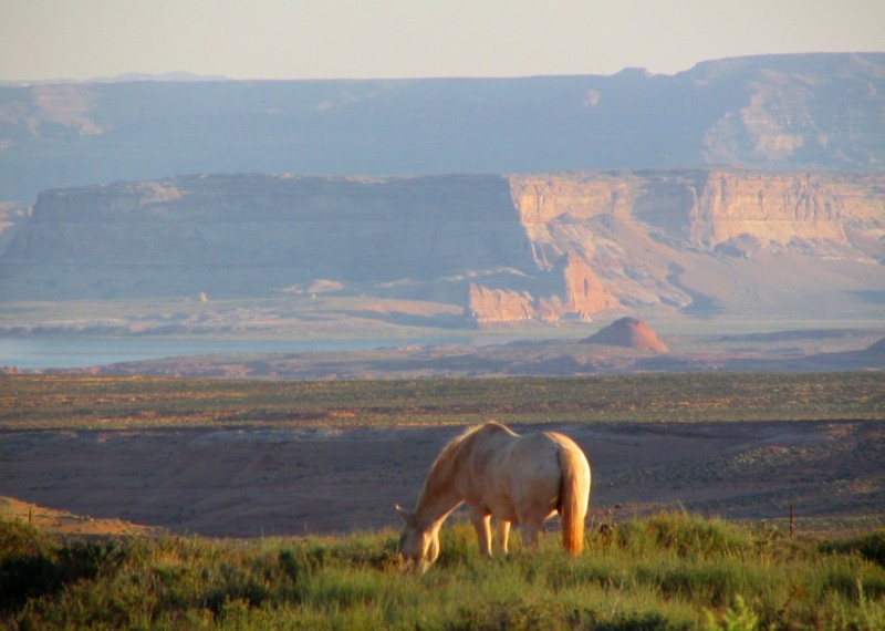 Mustang, Arizona