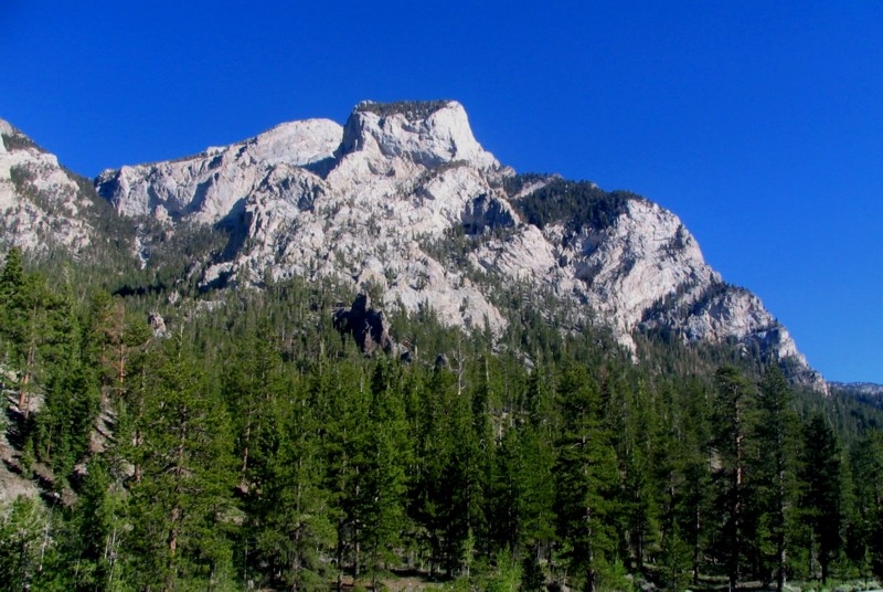 mount charleston