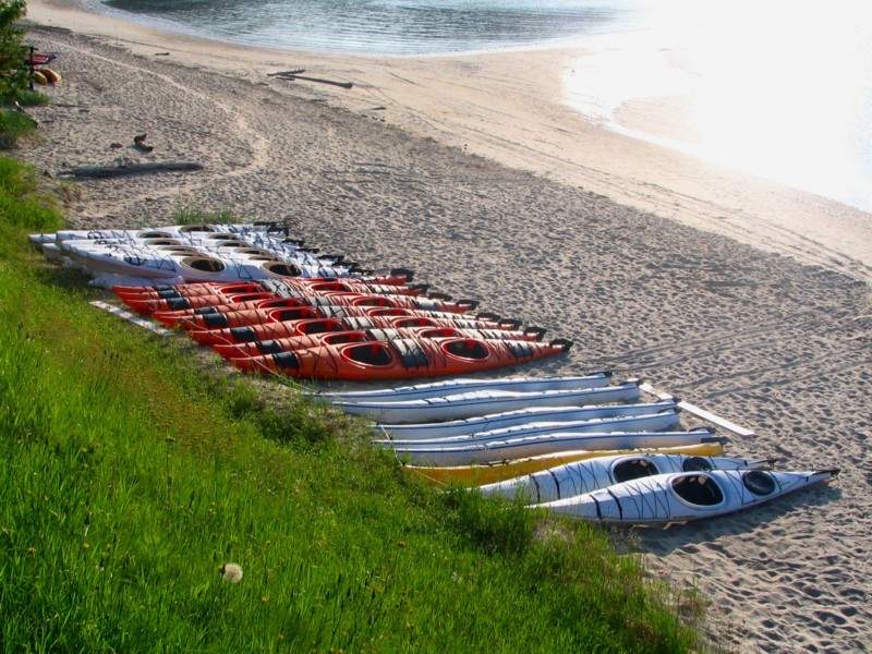 colonie de Kayaks de mer