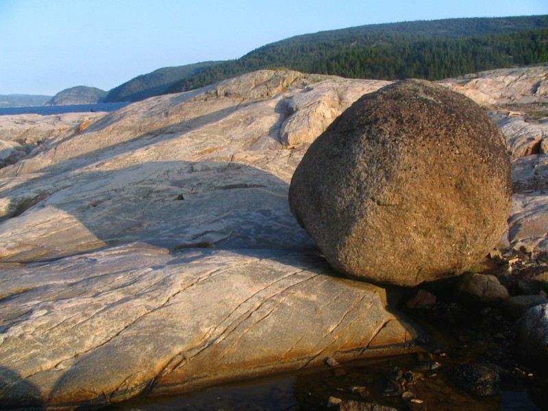 le petit pois de Tadoussac