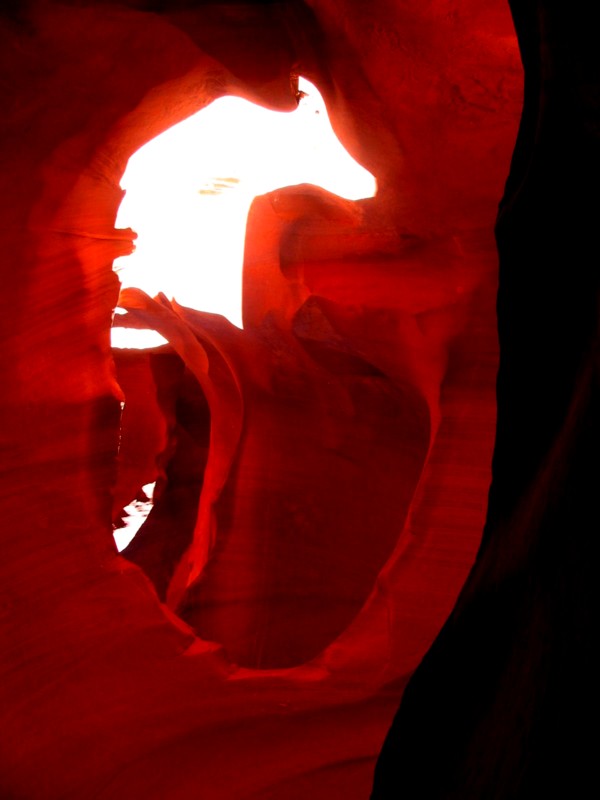 le fantme du cheval  antelope canyon