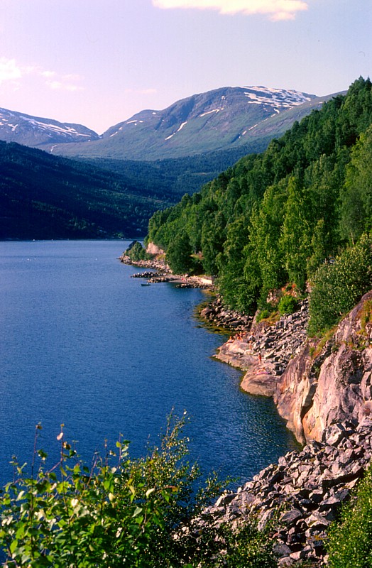 les rives du fjord