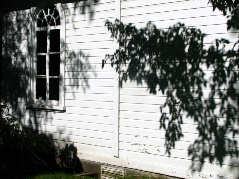l'ombre de la branche sur la petite maison blanche