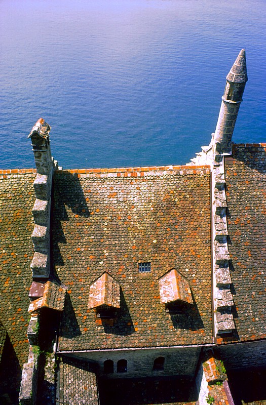 les toits du château