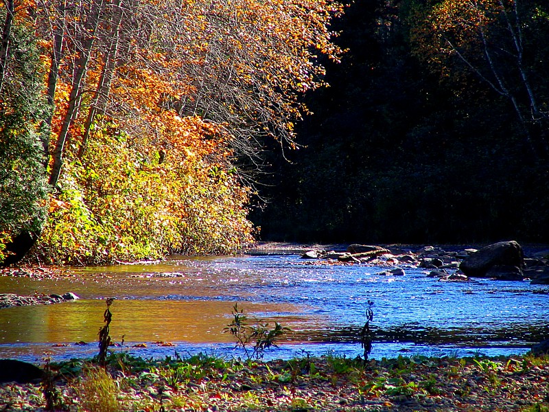 l'automne au bord de la rivière