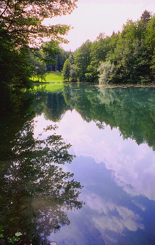 le lac de Ballenberg