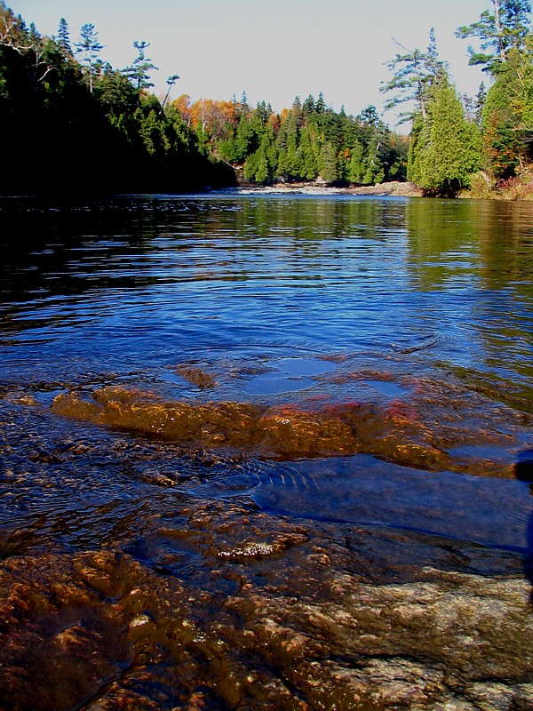 les roches dans la rivire