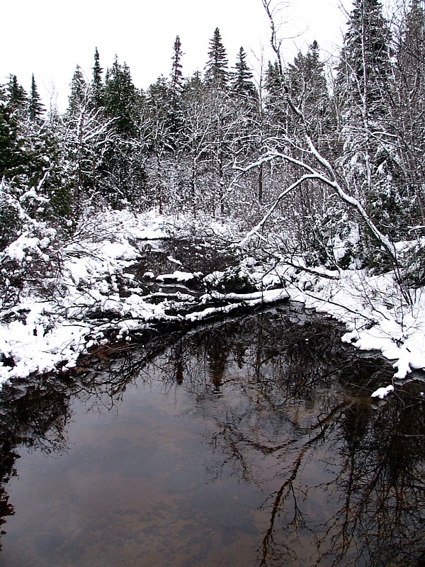 le ruisseau bord de neige