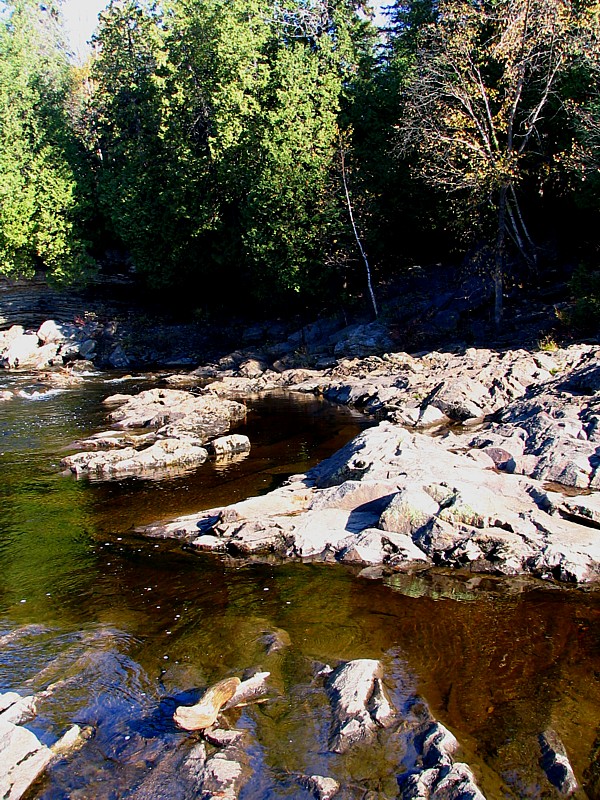 les arbres ,la rivire et les rochers