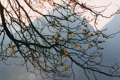 v3/83/550183/3/42441255.AUTOMNE.jpg
