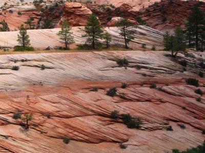 zion park