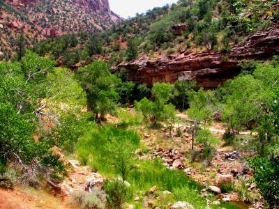 zion park