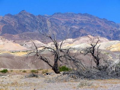 v3/83/550183/3/46307539.deathvalley18.jpg