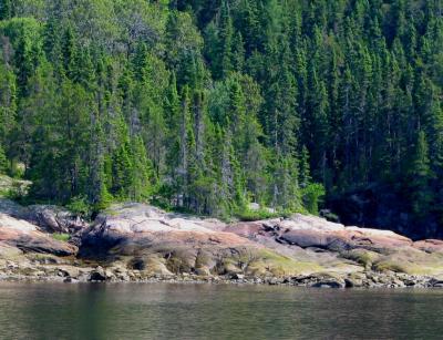 les rives boises les rochers dnuds