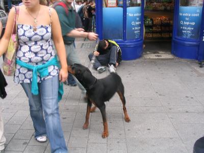 Freak on a leash (Dublin-Ireland)