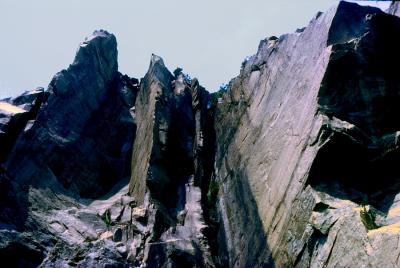 v3/83/550183/3/48019479.Lafalaise.jpg