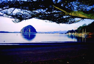 v3/83/550183/3/49659766.Morrobay.jpg