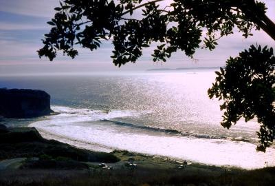 v3/83/550183/3/49873924.Palosverdes.jpg